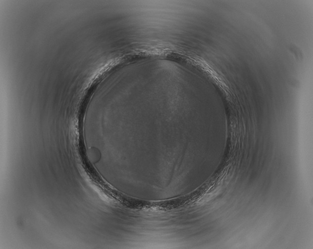 X0000111200634200907221131