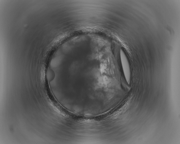 X0000111200637200907221131