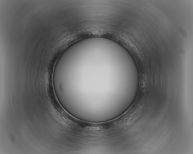 X0000111200639200907221131