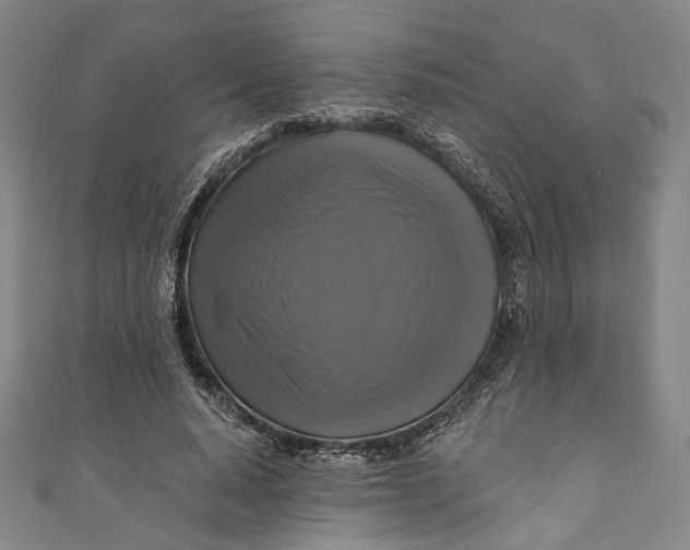 X0000111200640200907221131