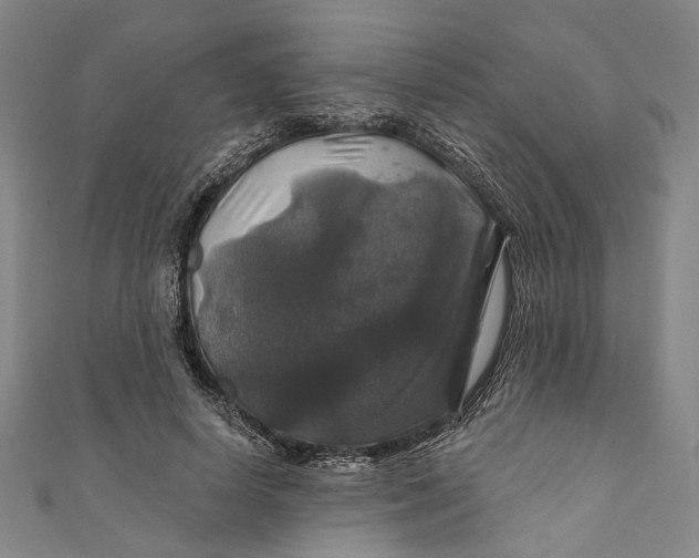 X0000111200642200907221131