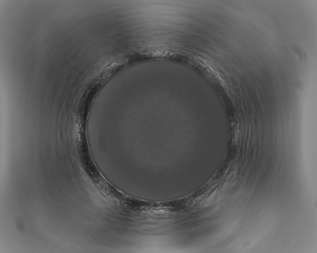 X0000111200643200907221131