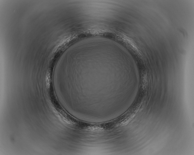 X0000111200644200907221131