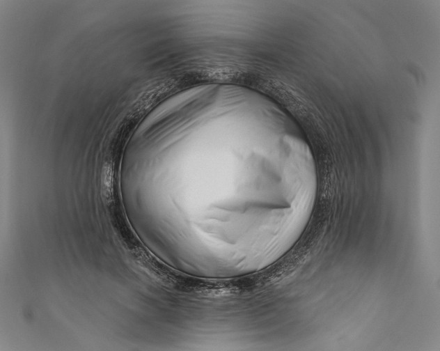 X0000111200646200907221131