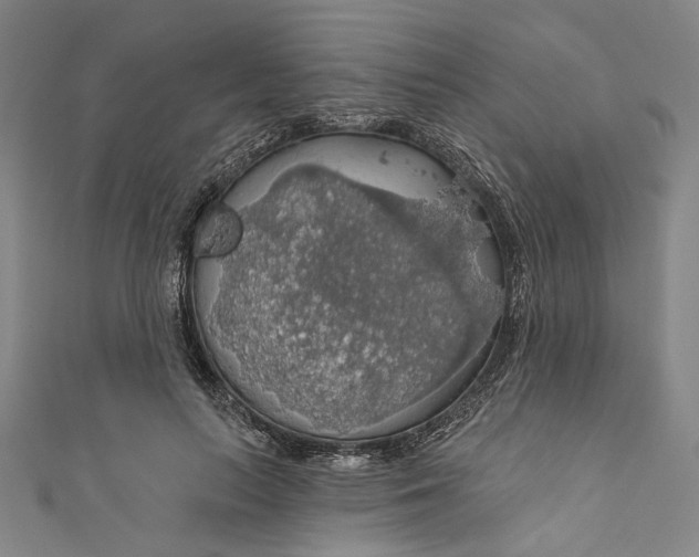 X0000111200647200907221131