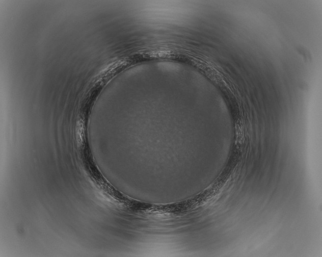 X0000111200648200907221131