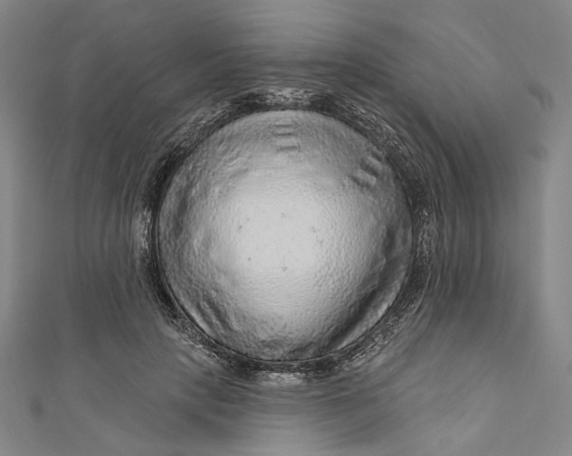 X0000111200649200907221131