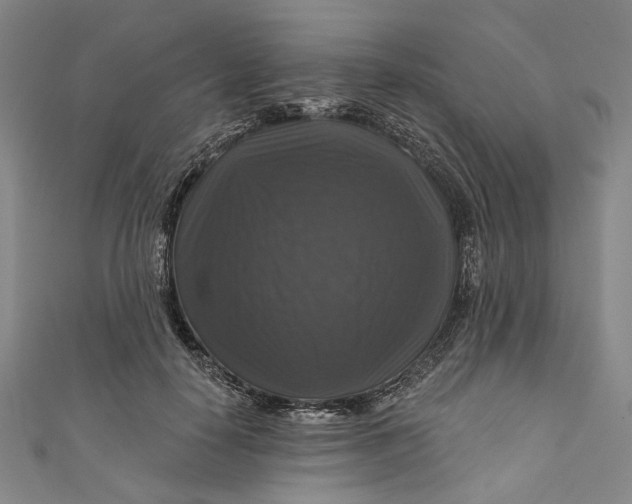 X0000111200650200907221131