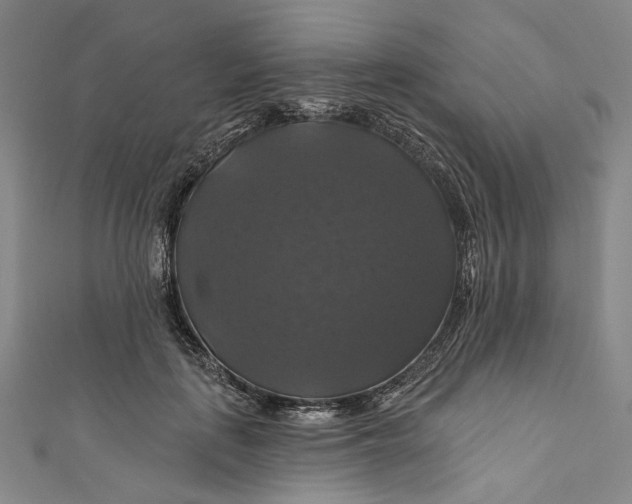 X0000111200651200907221131