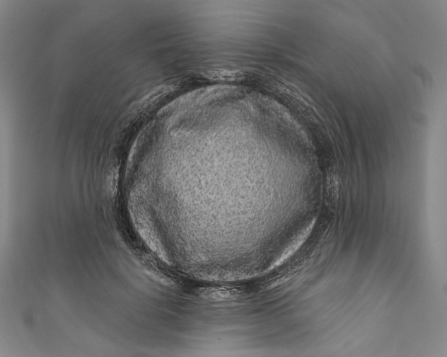 X0000111200652200907221131