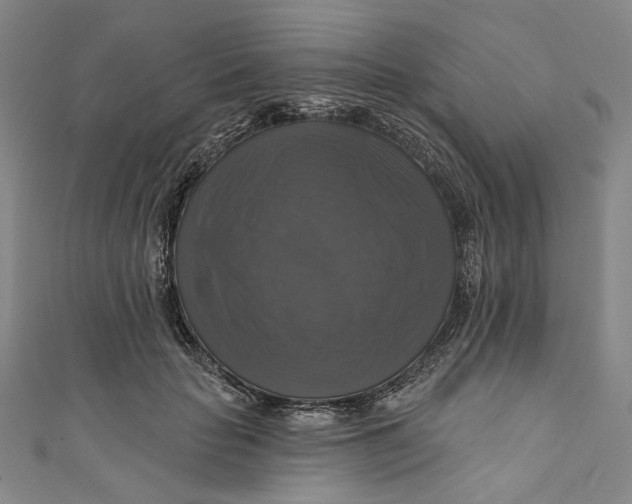 X0000111200653200907221131