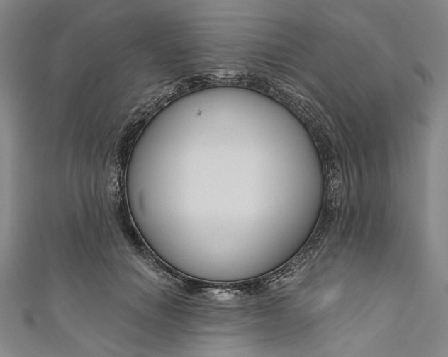 X0000111200654200907221131