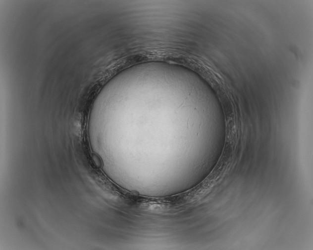 X0000111200655200907221131