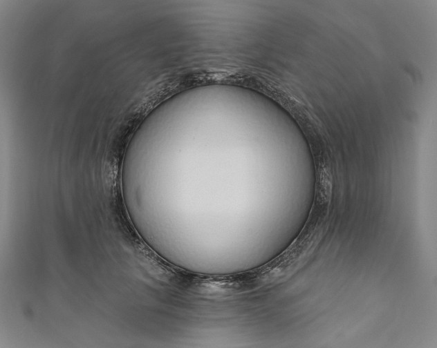 X0000111200657200907221131