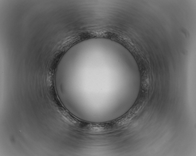 X0000111200658200907221131