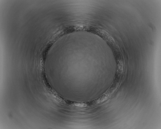 X0000111200659200907221131