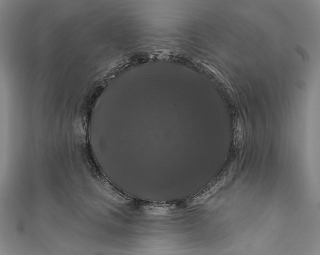 X0000111200661200907221131