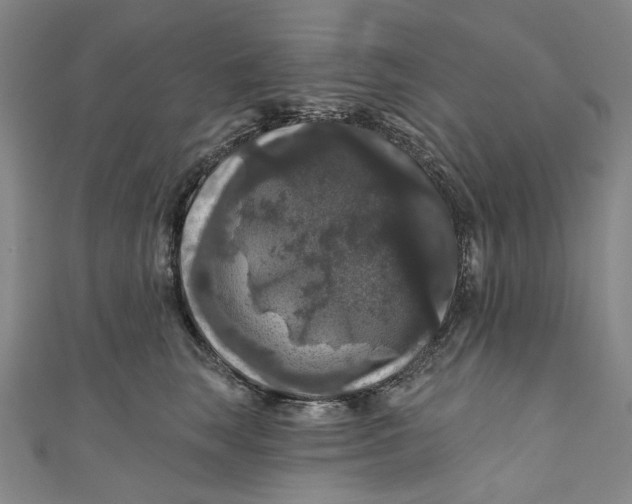 X0000111200663200907221131