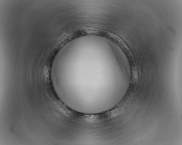 X0000111200667200907221131