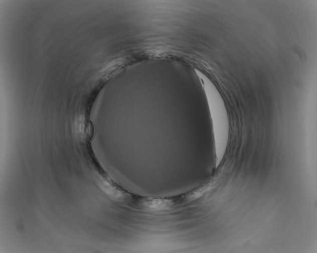 X0000111200670200907221131