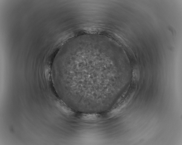 X0000111200671200907221131