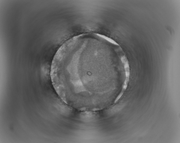 X0000111200672200907221131