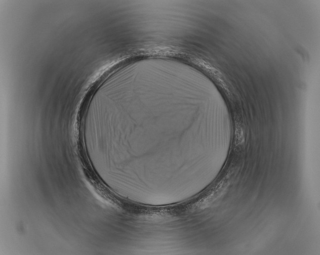 X0000111200674200907221130