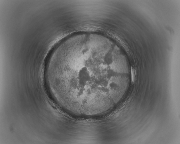 X0000111200675200907221130