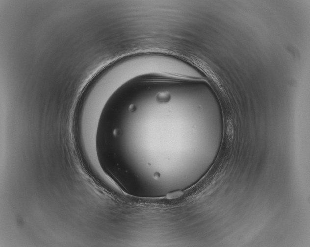 X0000111200676200907221130