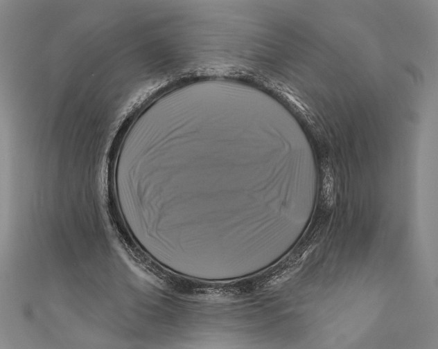 X0000111200678200907221130