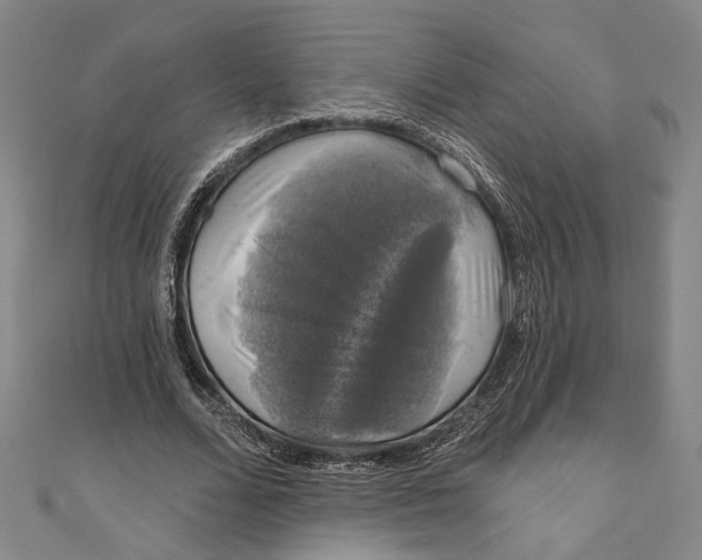 X0000111200680200907221130