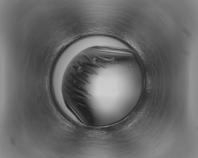 X0000111200681200907221130