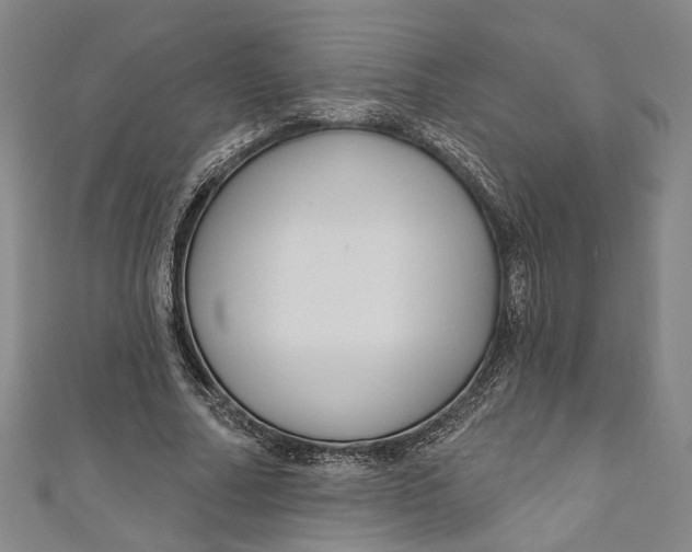 X0000111200682200907221130