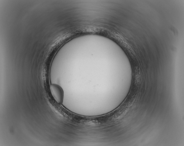 X0000111200683200907221130