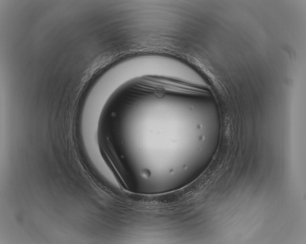 X0000111200685200907221130