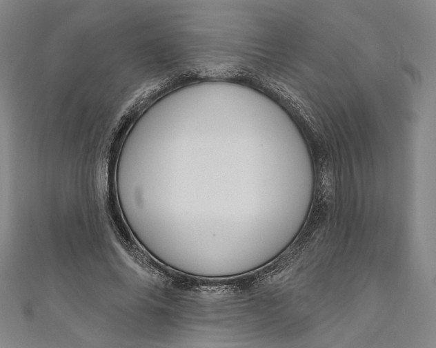 X0000111200686200907221130