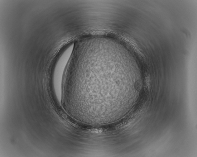 X0000111200687200907221130