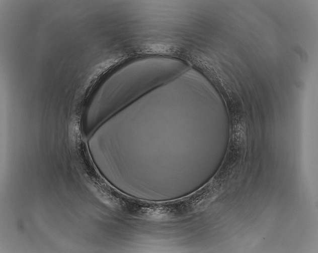 X0000111200688200907221130