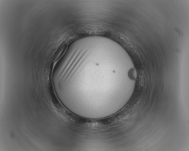 X0000111200695200907221130