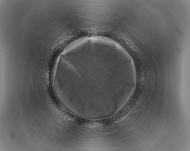 X0000111200696200907221130