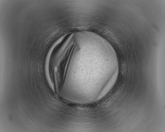 X0000111200697200907221130