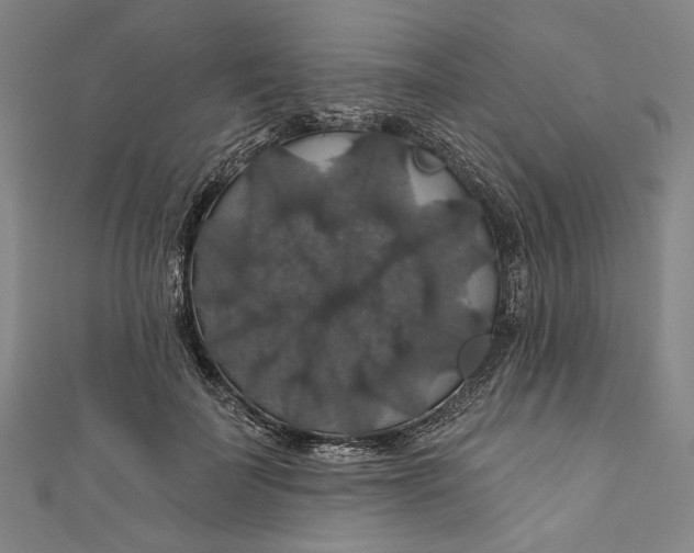 X0000111200699200907221130