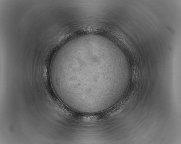 X0000111200700200907221130