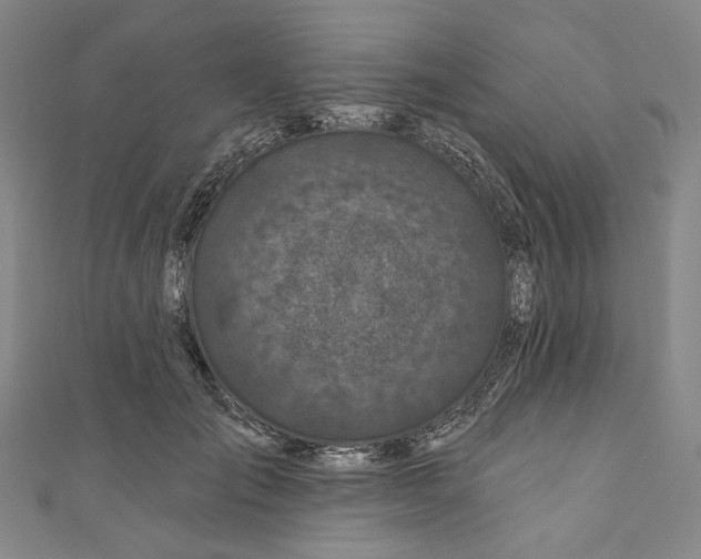 X0000111200701200907221130