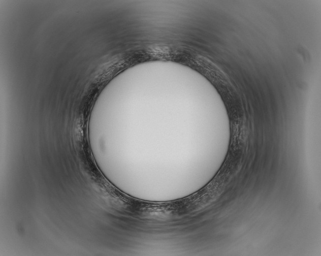 X0000111200702200907221130