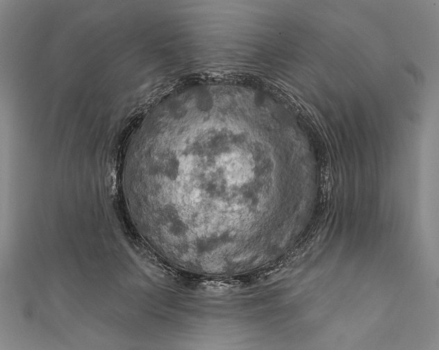 X0000111200703200907221130