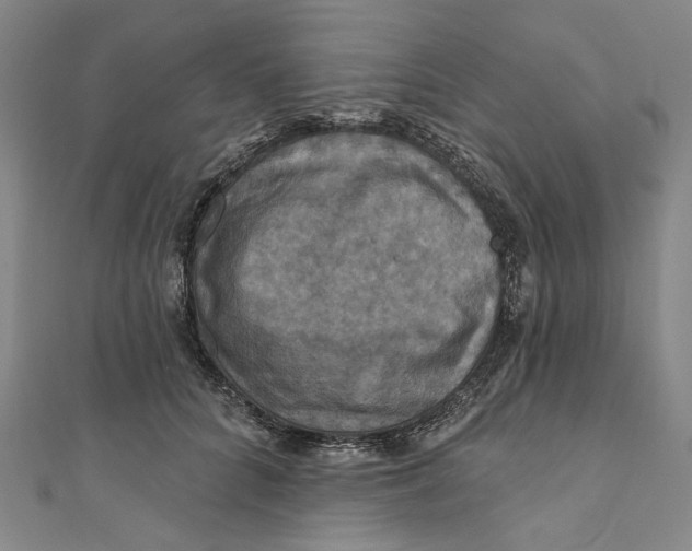 X0000111200704200907221130