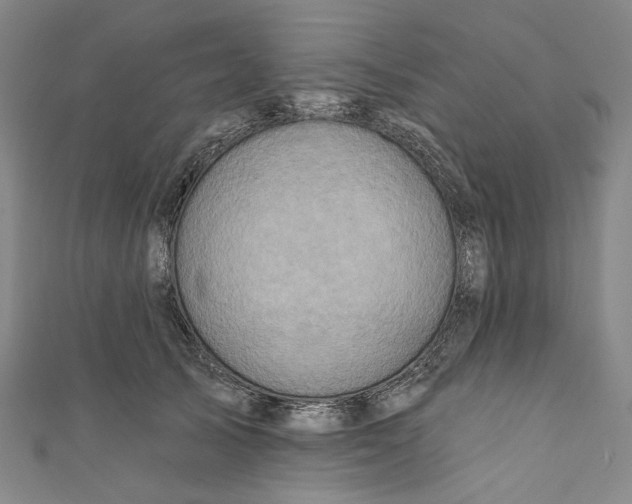 X0000111200705200907221130