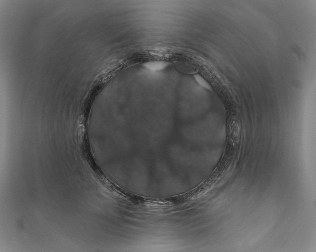 X0000111200707200907221130