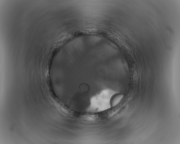 X0000111200711200907221130